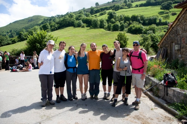 Monitores profesionales